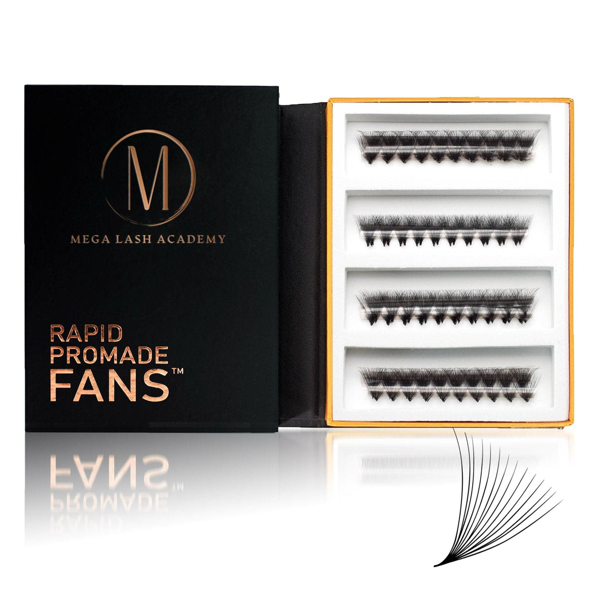 Mix Rapid 14D Promade Fans® - 1000 Fans from Mega Lash Academy