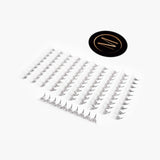 Mix Rapid 14D Promade Fans® - 1000 Fans from Mega Lash Academy