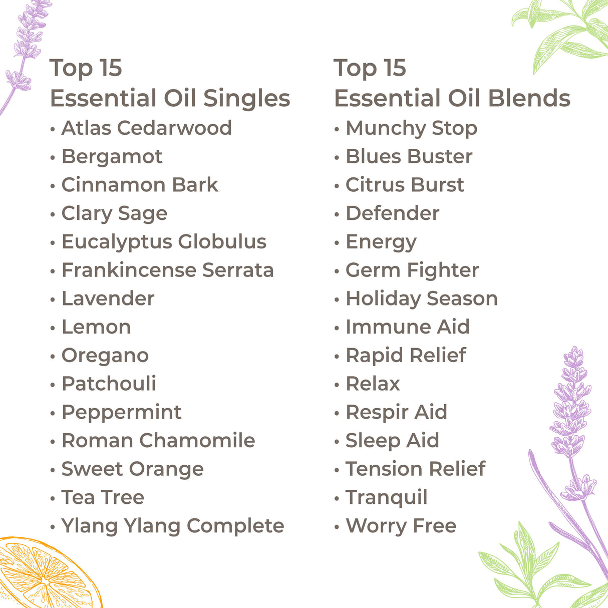 Fifteen & Fifteen Essential Oil Set with Carrying Case from Plant Therapy