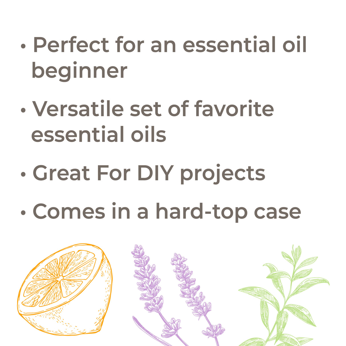 Fifteen & Fifteen Essential Oil Set with Carrying Case from Plant Therapy