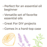 Fifteen & Fifteen Essential Oil Set with Carrying Case from Plant Therapy