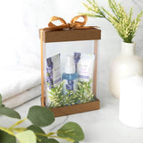 Plastic Gift Boxes 7.5X5X2.5" 6 Pack Bakery Boxes With Base Lid & Ribbon from Hammont