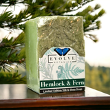 Specialty Soap - Hemlock & Fern (Seasonal, Spring, Father's Day) from Evolve Botanica