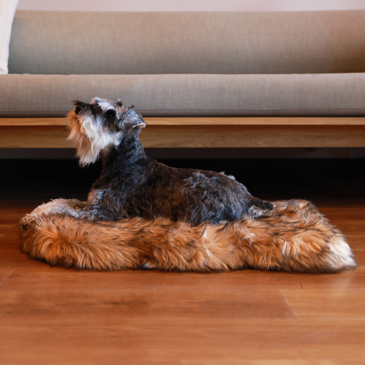 PupRug by Paw.com™ Faux Fur Orthopedic Dog Bed - Curve Sable Tan from Paw.com