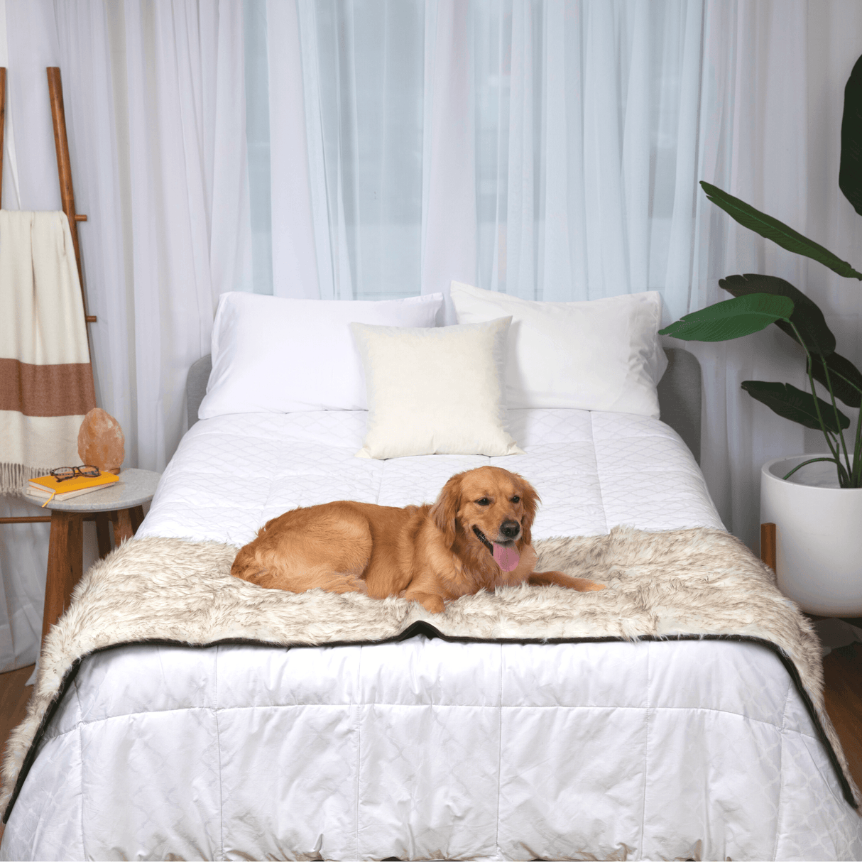PupProtector™ Waterproof Bed Runner - White with Brown Accents from Paw.com