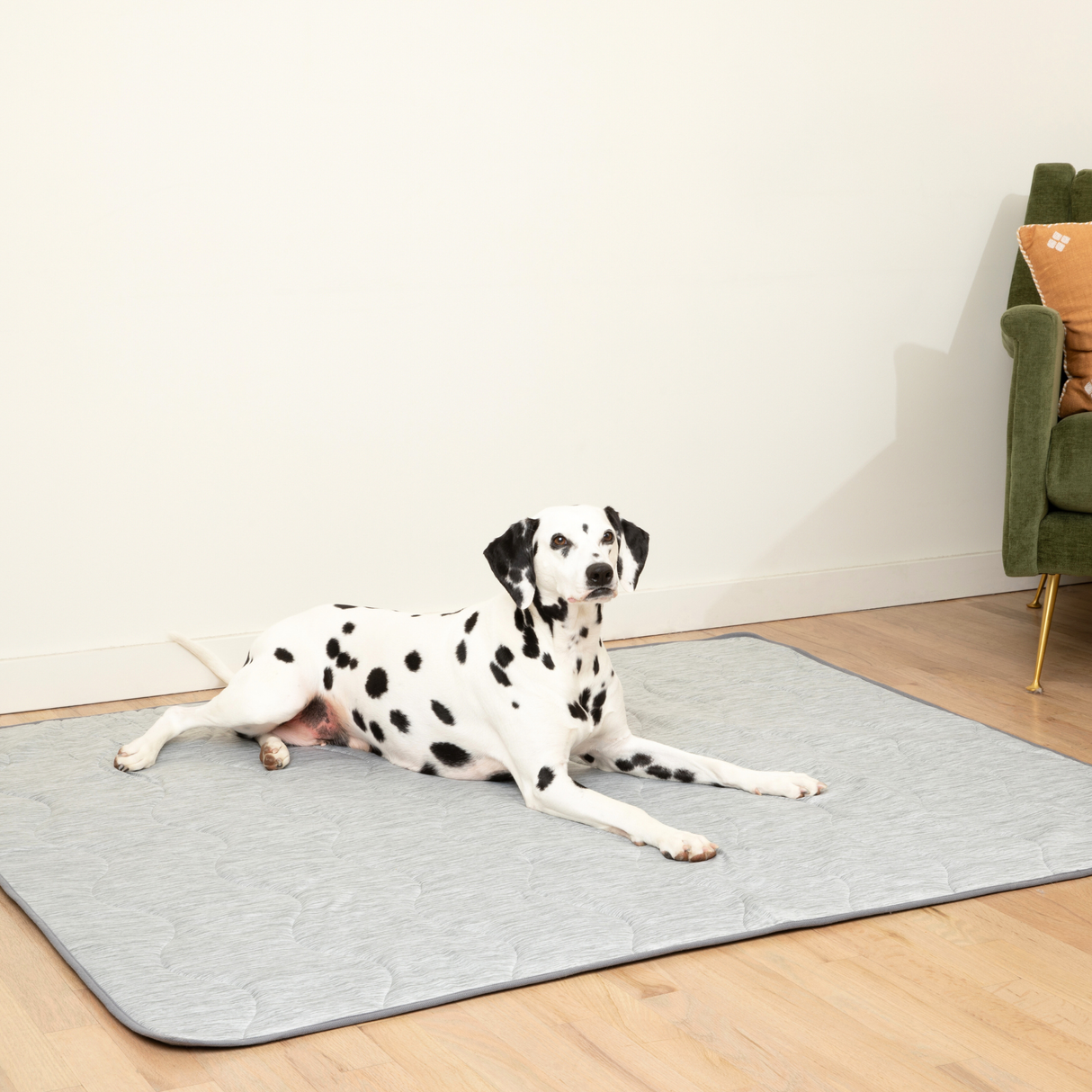 PupChill™ Cooling Waterproof Blanket - Arctic Grey from Paw.com