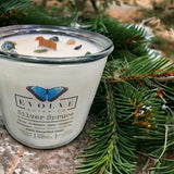 Rocks Candle - Silver Spruce (Wood Wick Moss Agate Gemstone Soy Candle) from Evolve Botanica