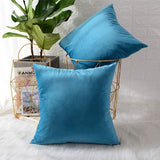 Velvet Cushion Covers from Moderny