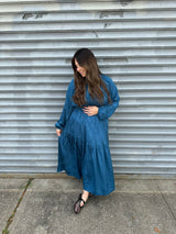 Ottie Paisley Dress From Drama NYC Plus