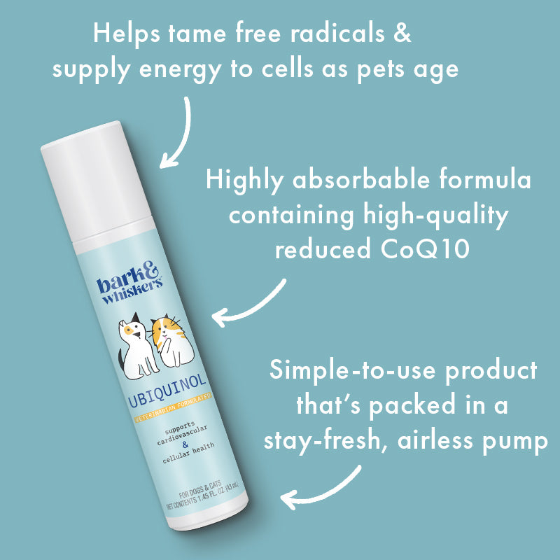 CELLULAR HEALTH /  Ubiquinol For Pets from ReNewedPet