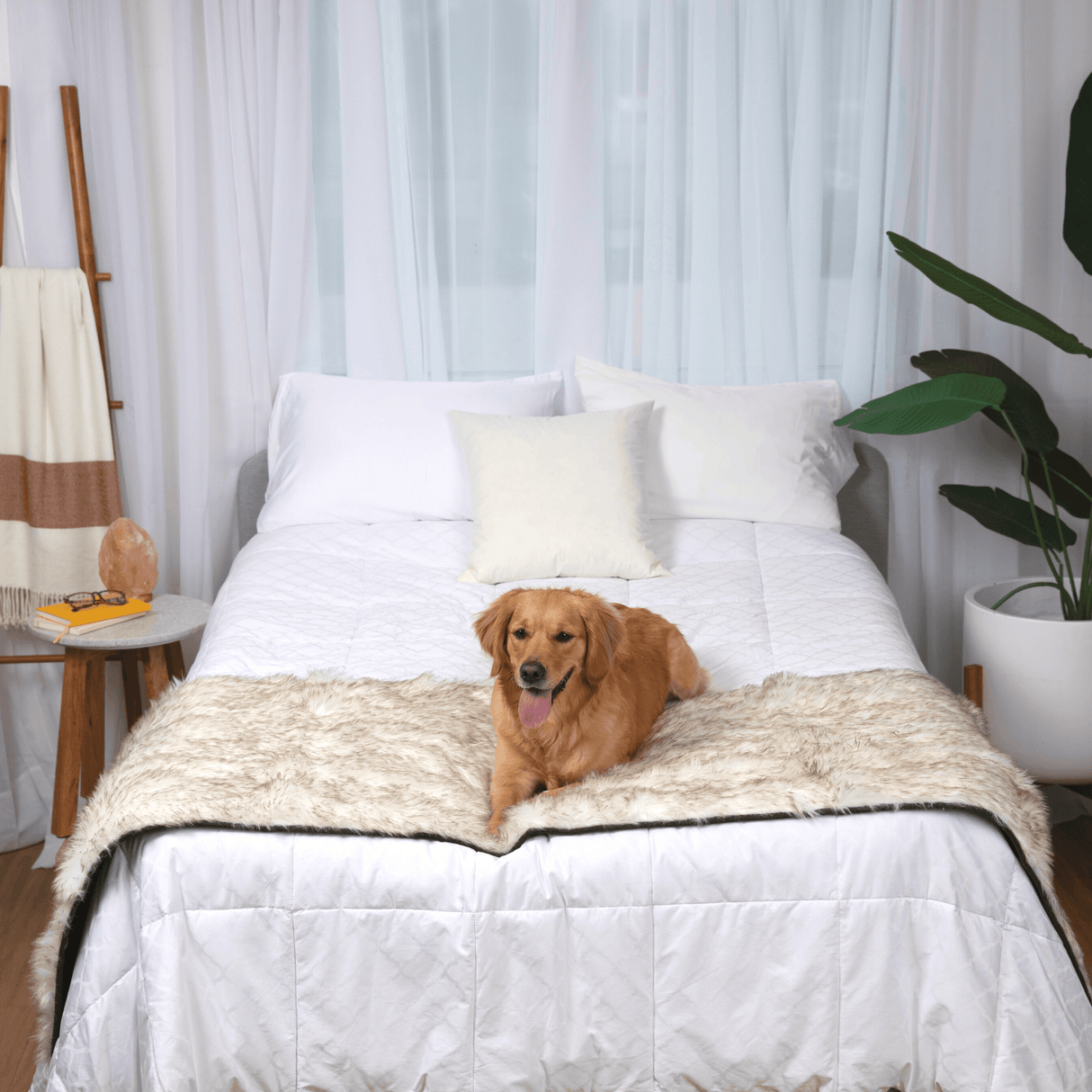 PupProtector™ Waterproof Bed Runner - White with Brown Accents from Paw.com