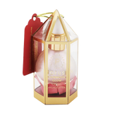Best Liquid Highlighter Makeup by Profusion from Prolux Cosmetics