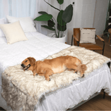 PupProtector™ Waterproof Bed Runner - White with Brown Accents from Paw.com