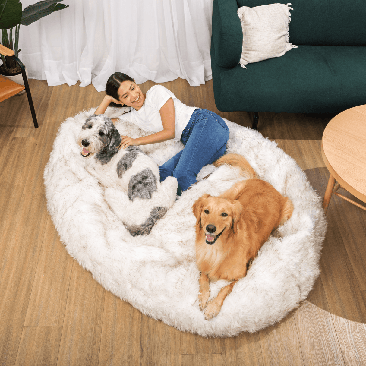 PupCloud™ Human-Size Faux Fur Memory Foam Dog Bed - White with Brown Accents From Paw.com