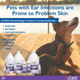Zymox Advanced Enzymatic Oatmeal Cat & Dog Conditioner from HardyPaw
