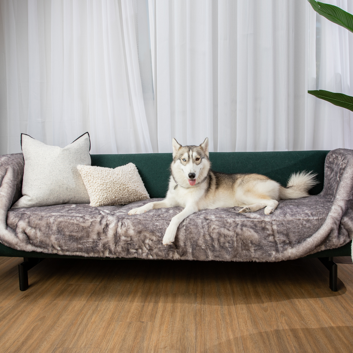 PupProtector™ Luxe Waterproof Bed Runner - Ultra Soft Chinchilla from Paw.com