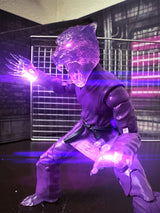 Zoo Jitsu Fighters Tiago the Tiger Action Figure from Icon Heroes