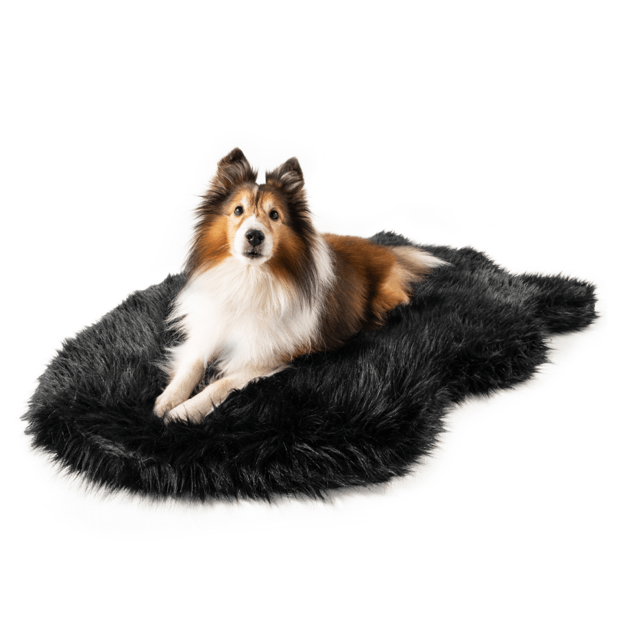 PupRug by Paw.com™  Faux Fur Orthopedic Dog Bed - Curve Midnight Black from Paw.com