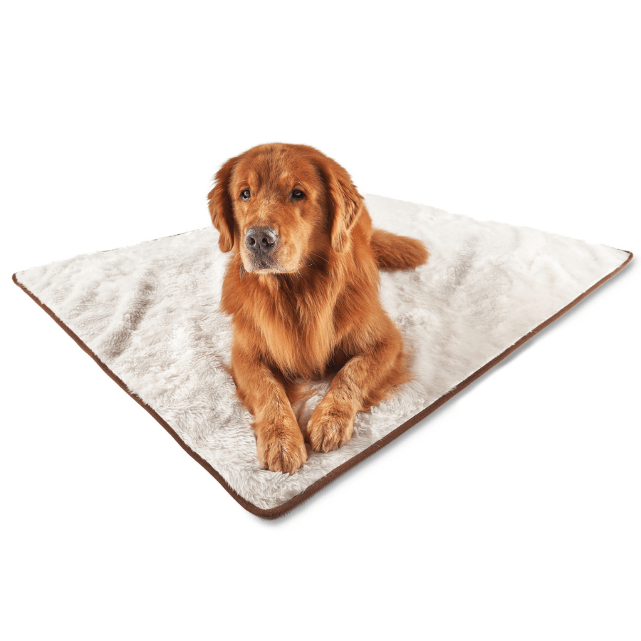 PupProtector™ Summer Short Fur Waterproof Throw Blanket - Polar White from Paw.com