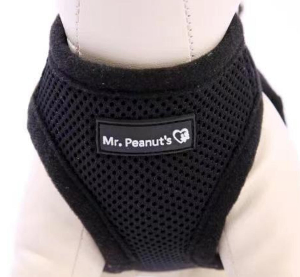 Mr. Peanut's PupTrek Harness and Leash Set,  Small Dog/Cat Soft Mesh Step In Harness Vest from Mr. Peanut's Pet Carriers