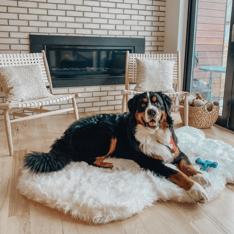 PupRug by Paw.com™ Faux Fur Orthopedic Dog Bed - Curve Polar White from Paw.com