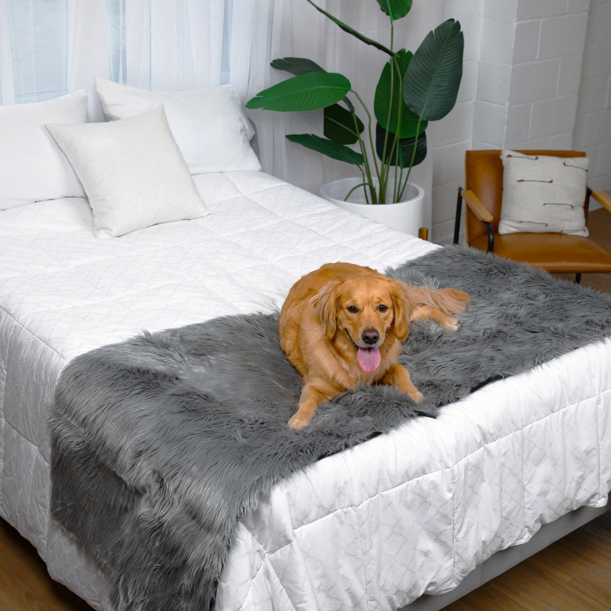 PupProtector™ Waterproof Bed Runner - Charcoal Grey from Paw.com