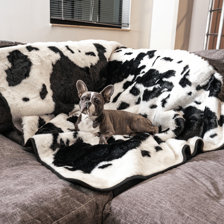 PupProtector™ Waterproof Throw Blanket - Black Faux Cowhide from Paw.com