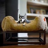 The FÜZI Dog Bed from FÜZI