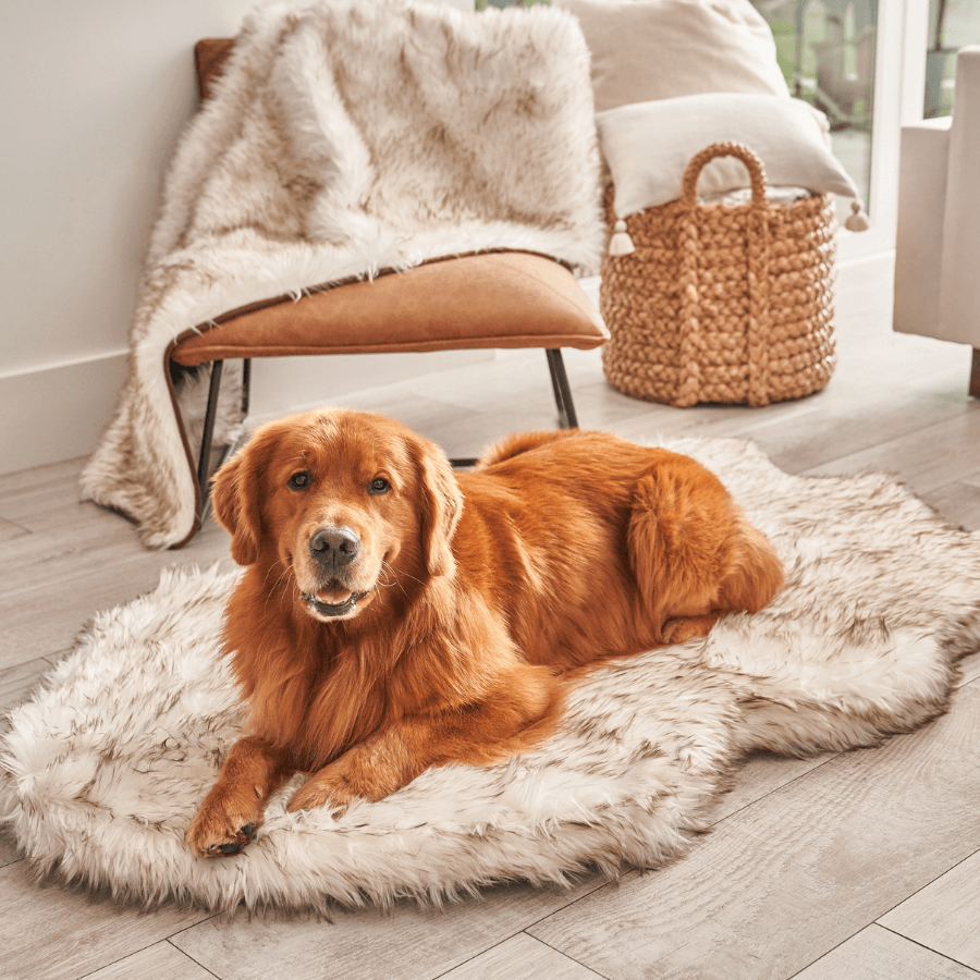 PupRug by Paw.com™ Faux Fur Orthopedic Dog Bed - Curve White with Brown Accents from Paw.com