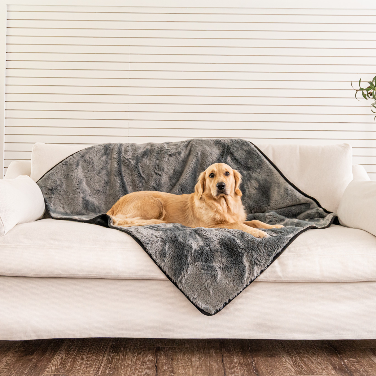 PupProtector™ Summer Short Fur Waterproof Throw Blanket - Charcoal Grey from Paw.com