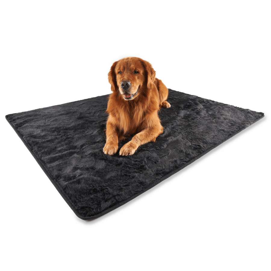 PupProtector™ Summer Short Fur Waterproof Throw Blanket - Midnight Black from Paw.com