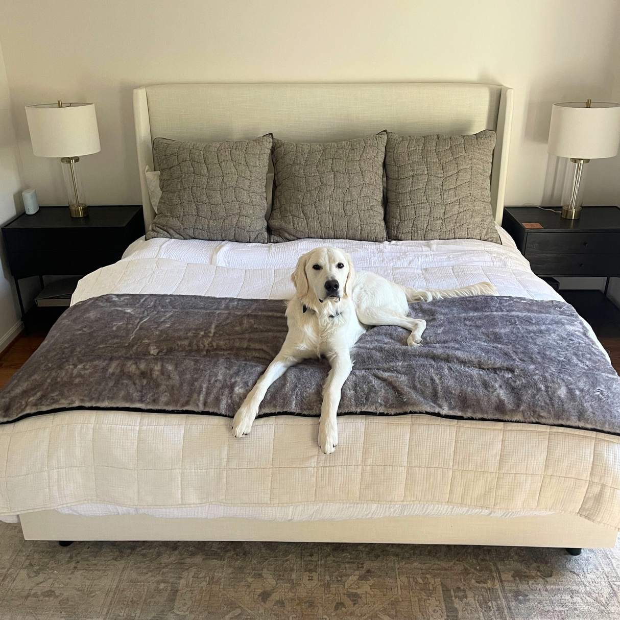 PupProtector™ Luxe Waterproof Bed Runner - Ultra Soft Chinchilla from Paw.com