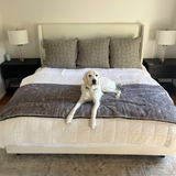 PupProtector™ Luxe Waterproof Bed Runner - Ultra Soft Chinchilla from Paw.com