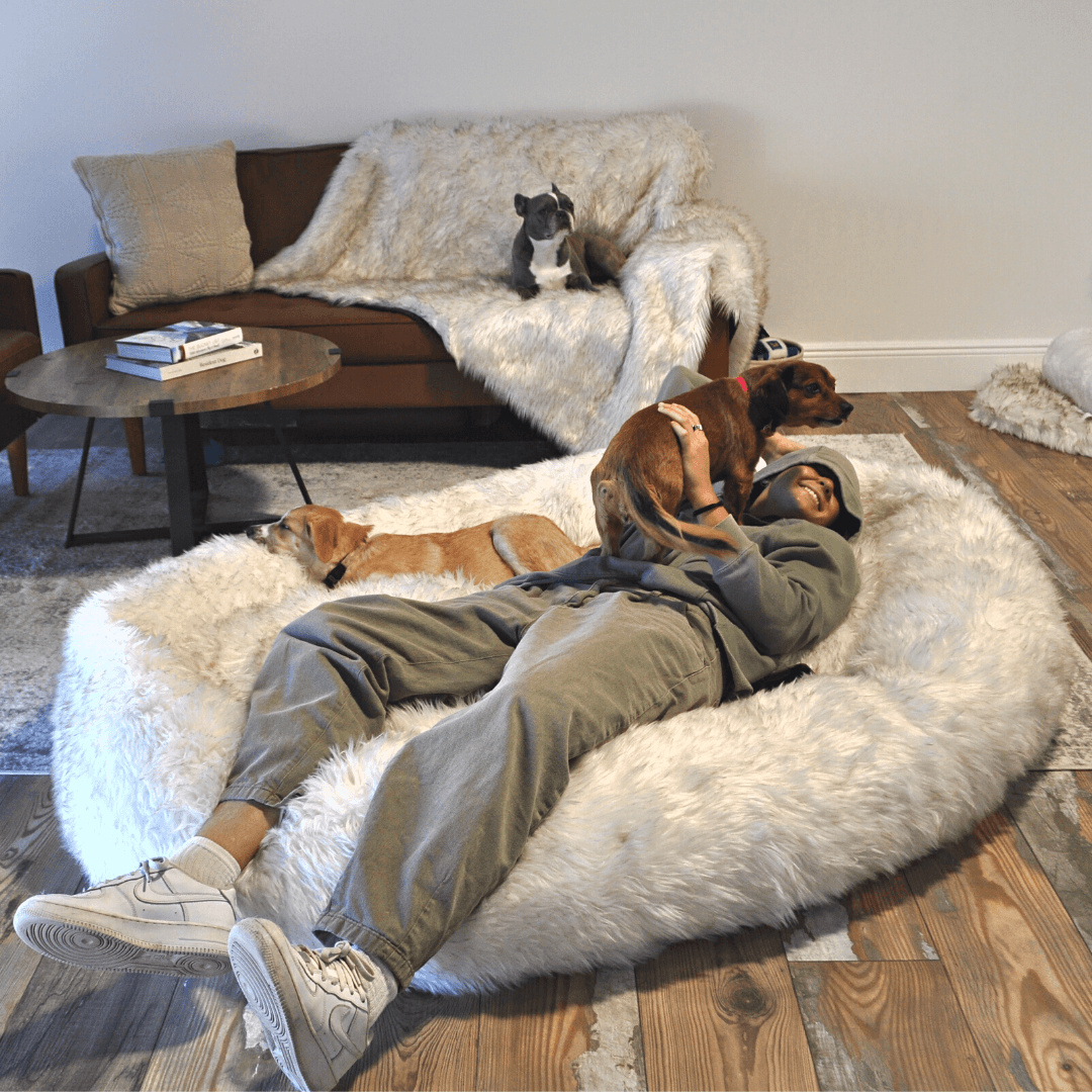 PupCloud™ Human-Size Faux Fur Memory Foam Dog Bed - White with Brown Accents From Paw.com