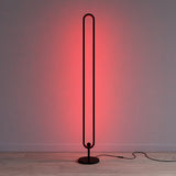 Minimalist LED Floor Lamp RGB