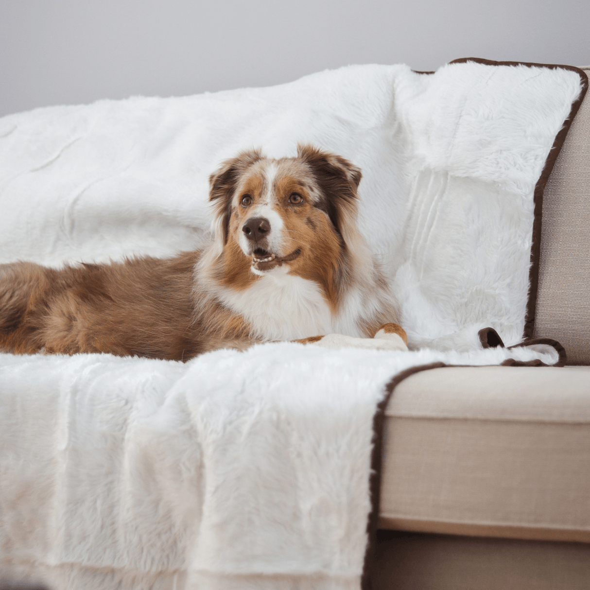 PupProtector™ Summer Short Fur Waterproof Throw Blanket - Polar White from Paw.com