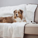 PupProtector™ Summer Short Fur Waterproof Throw Blanket - Polar White from Paw.com