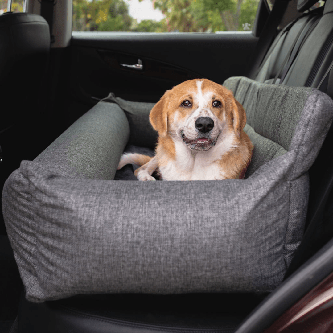 PupProtector™ Memory Foam Dog Car Bed From Paw.com