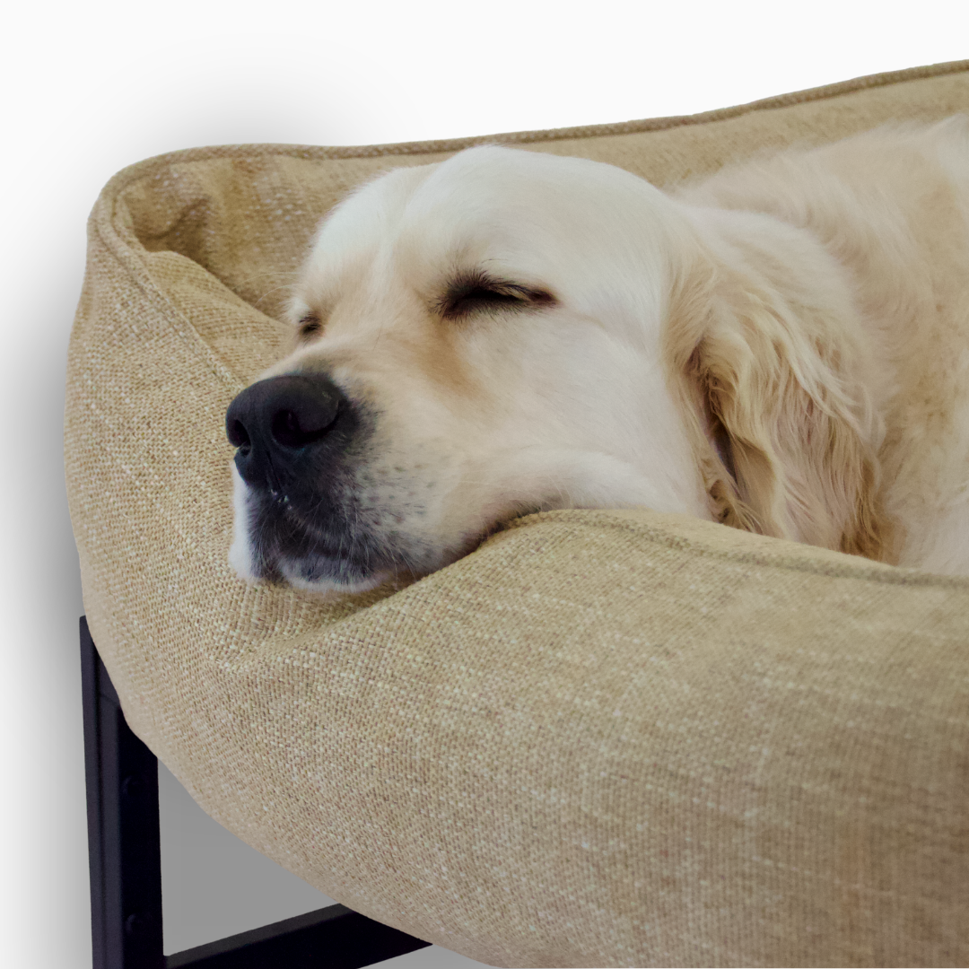 The FÜZI Dog Bed from FÜZI