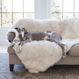 PupProtector™ Waterproof Throw Blanket - White with Brown Accents from Paw.com