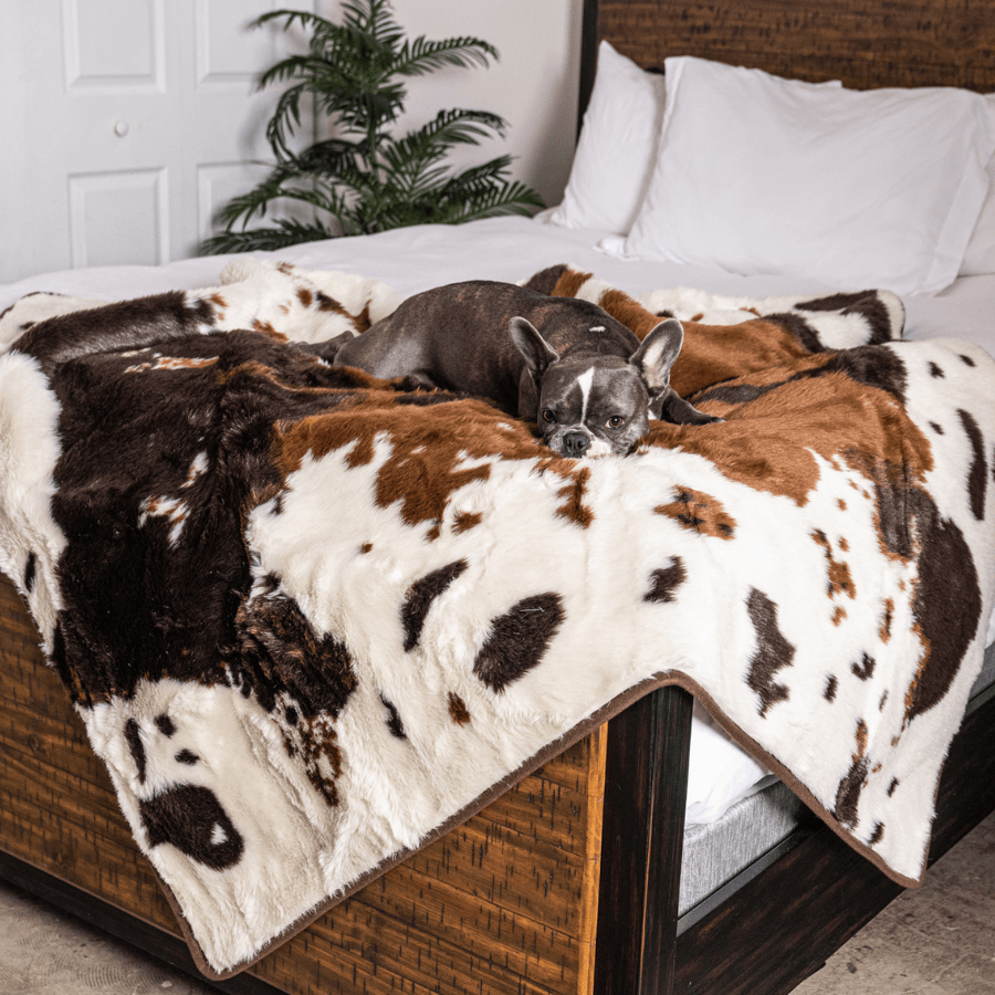 PupProtector™ Waterproof Throw Blanket - Brown Faux Cowhide from Paw.com