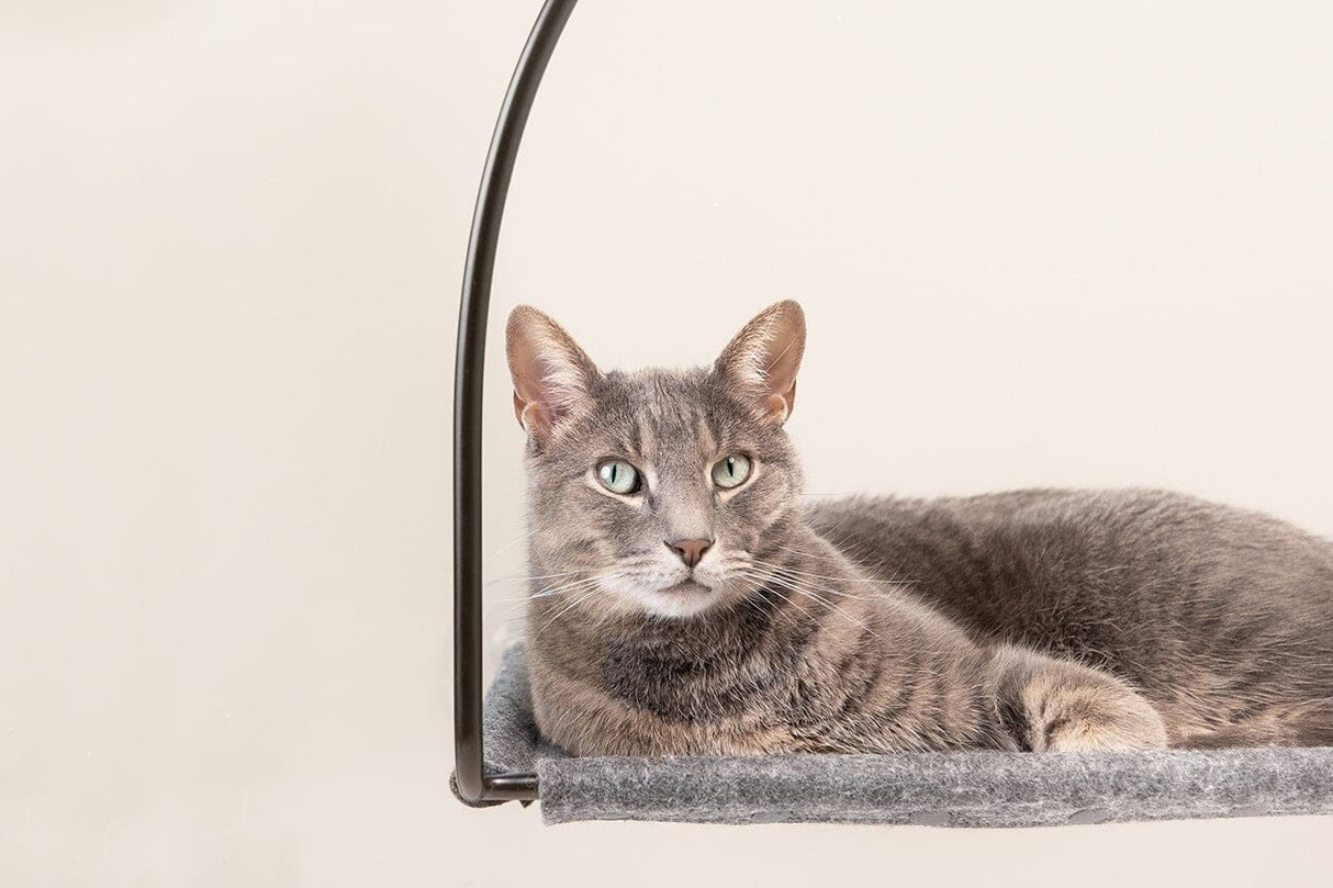 Cloud Nine Window Hammock From tuft + paw