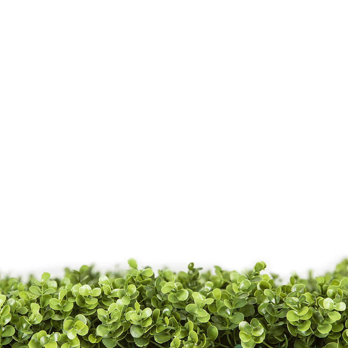 Natural Artificial Boxwood Wall 40" x 40" 11SQ FT Commercial Grade UV Resistant from Designer Plants USA
