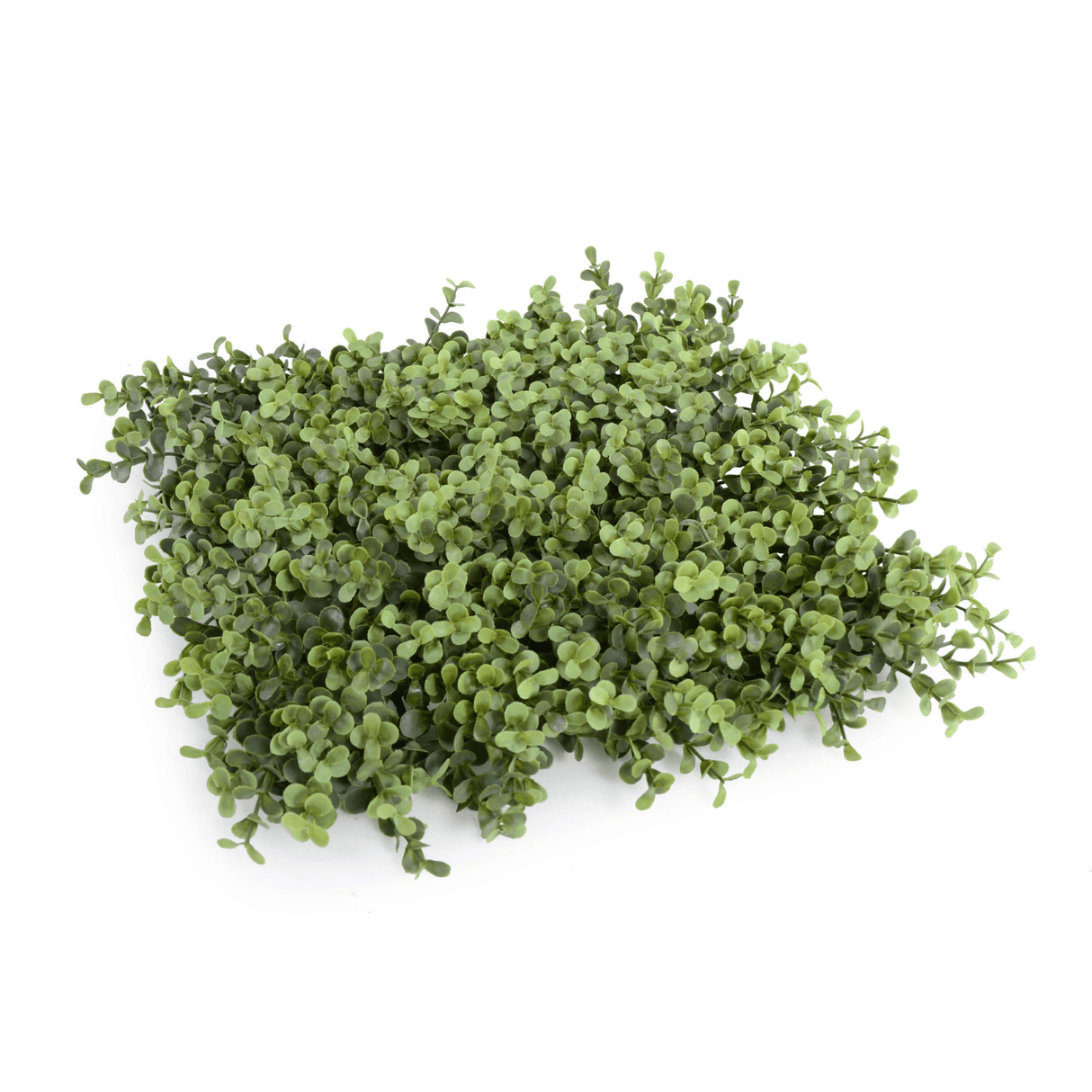 Natural Artificial Boxwood Wall 40" x 40" 11SQ FT Commercial Grade UV Resistant from Designer Plants USA
