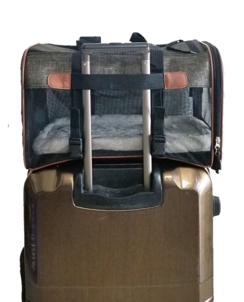 Mr. Peanut's Rhodium Series Mini Size Soft Sided Pet Carrier - Note Sizing in Description from Mr. Peanut's Pet Carriers