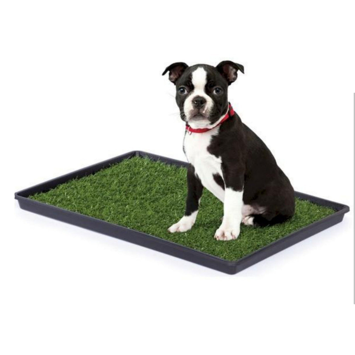 Mr. Peanut's Potty Place - Artificial Grass Puppy Pad for Dogs and Small Pets – Portable Training Pad with Tray from Mr. Peanut's Pet Carriers