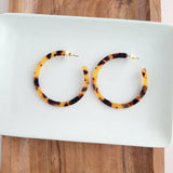 Cameron Hoops - Tortoise from Spiffy & Splendid