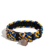 BetterCollar - 100% Fairtrade Recycled Ocean Bound Plastic Dog Collar from BetterBone All Natural Eco-Friendly Dog Chews & Bones