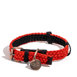 BetterCollar - 100% Fairtrade Recycled Ocean Bound Plastic Dog Collar from BetterBone All Natural Eco-Friendly Dog Chews & Bones