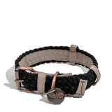 BetterCollar - 100% Fairtrade Recycled Ocean Bound Plastic Dog Collar from BetterBone All Natural Eco-Friendly Dog Chews & Bones